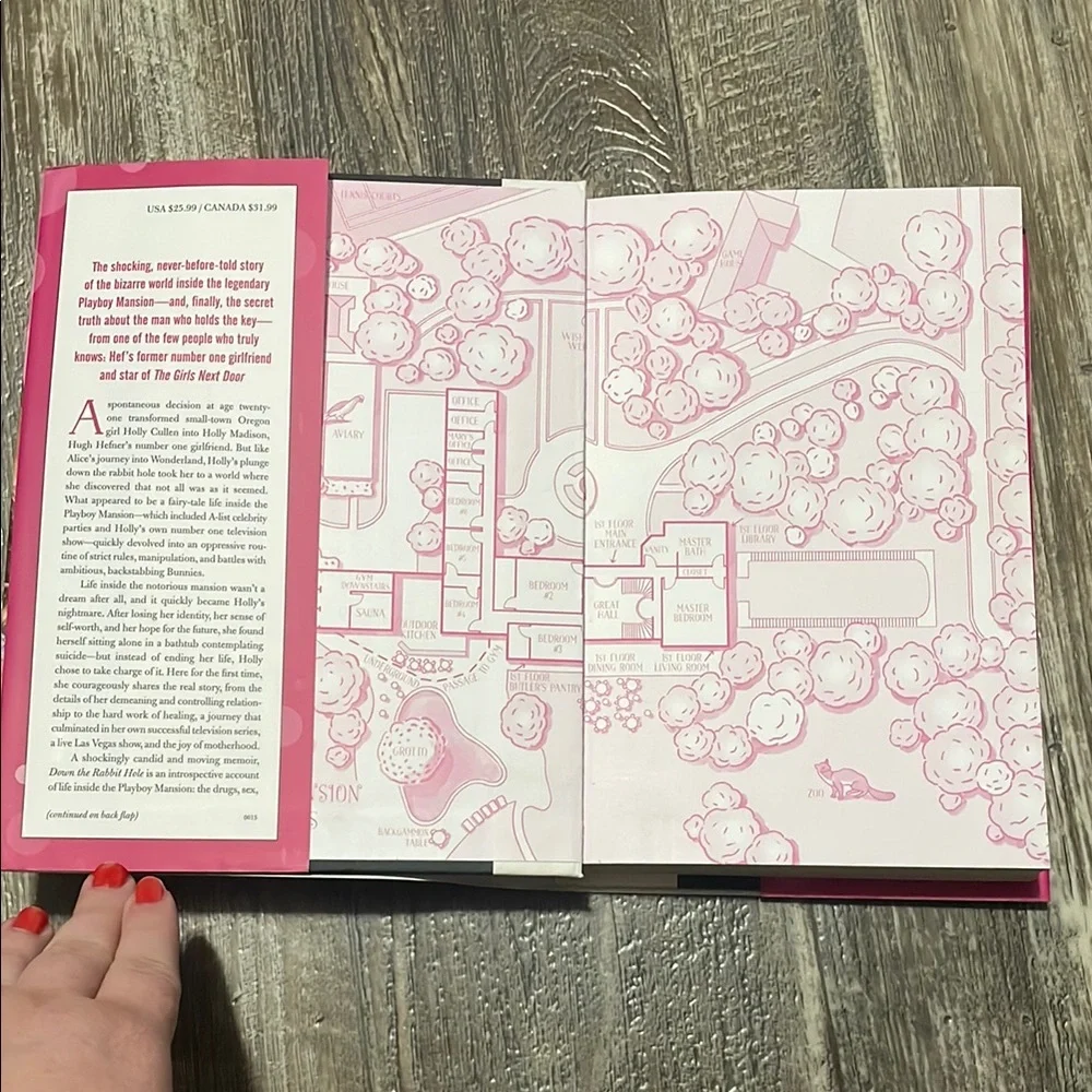 Holly Madison Down the Rabbit Hole Book - Picture 2 of 5